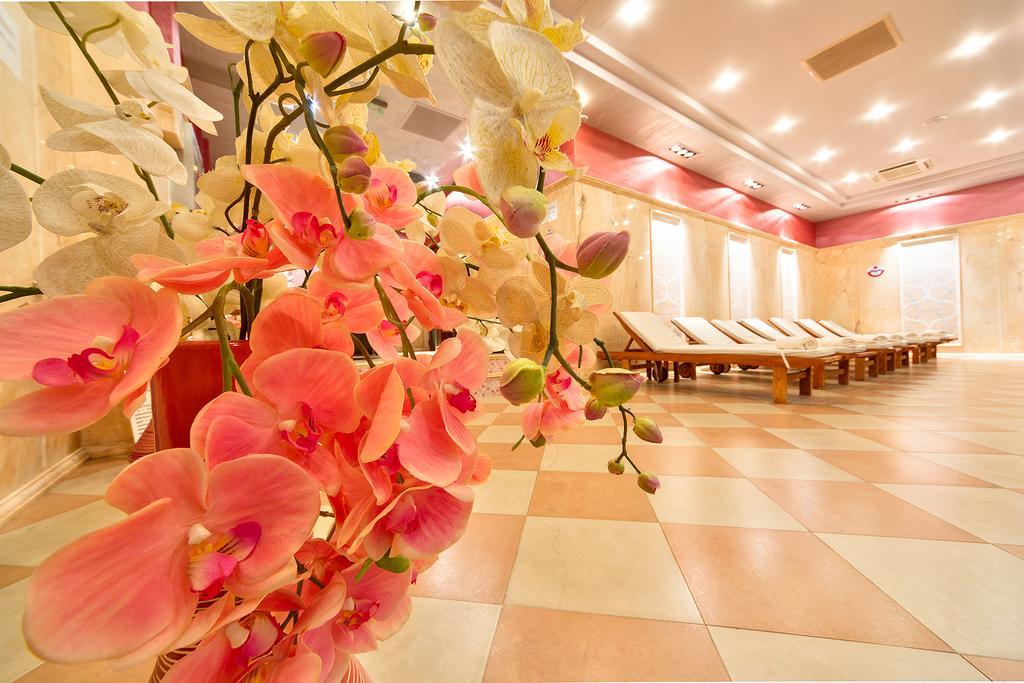 клуб централ 4*